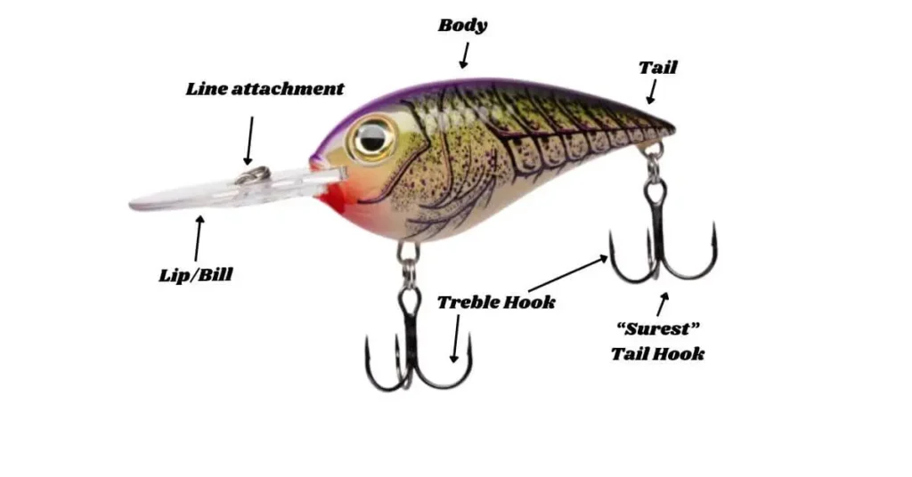 Dive into the intricacies of crankbaits and unravel the hidden features that make them a game-changer in the fishing world.