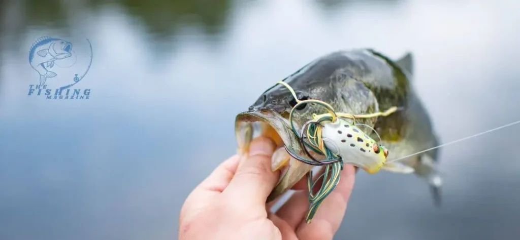 Embark on a journey to elevate your crankbait fishing game with these invaluable tips. Discover the nuances that set you apart, ensuring a rewarding and successful experience on the water.