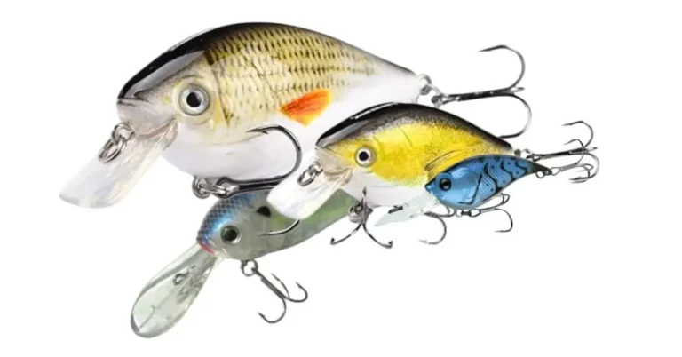 What Is A Crankbait | Bass Fishing Lures Tips & Tricks