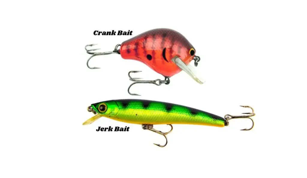 Crankbait vs Jerkbait - Differences, Applications, and Shape Secrets