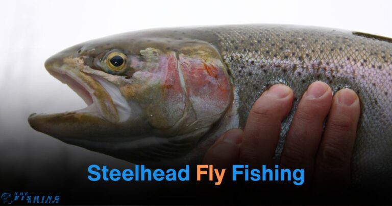 Steelhead fly fishing