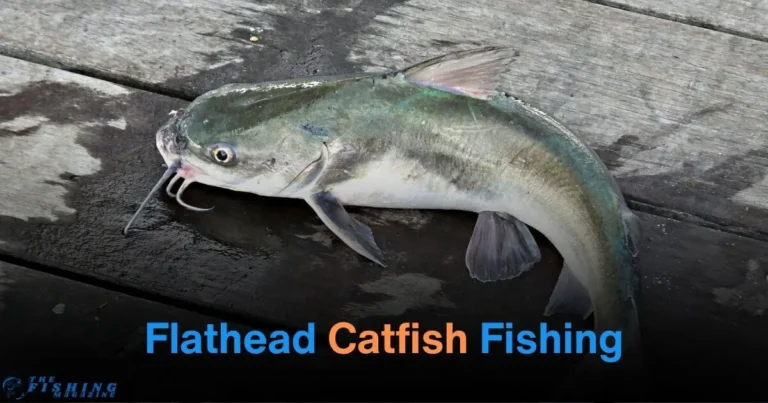 Fishing Flathead Catfish