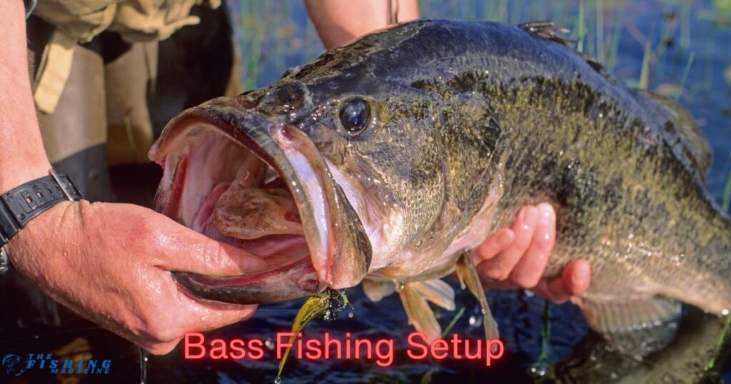 Bass Fishing Setup