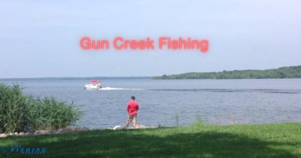 Gun Creek Fishing 