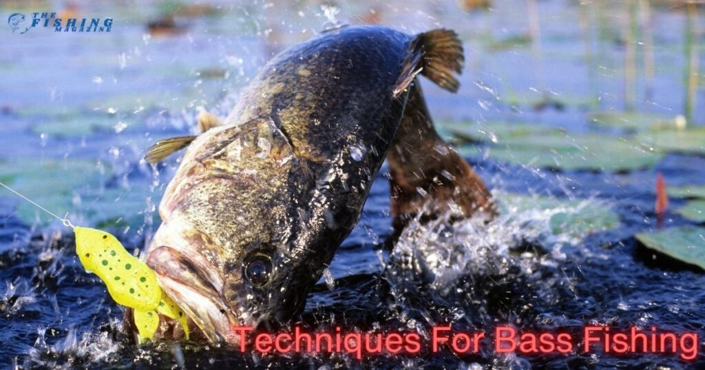 Techniques for Bass Fishing