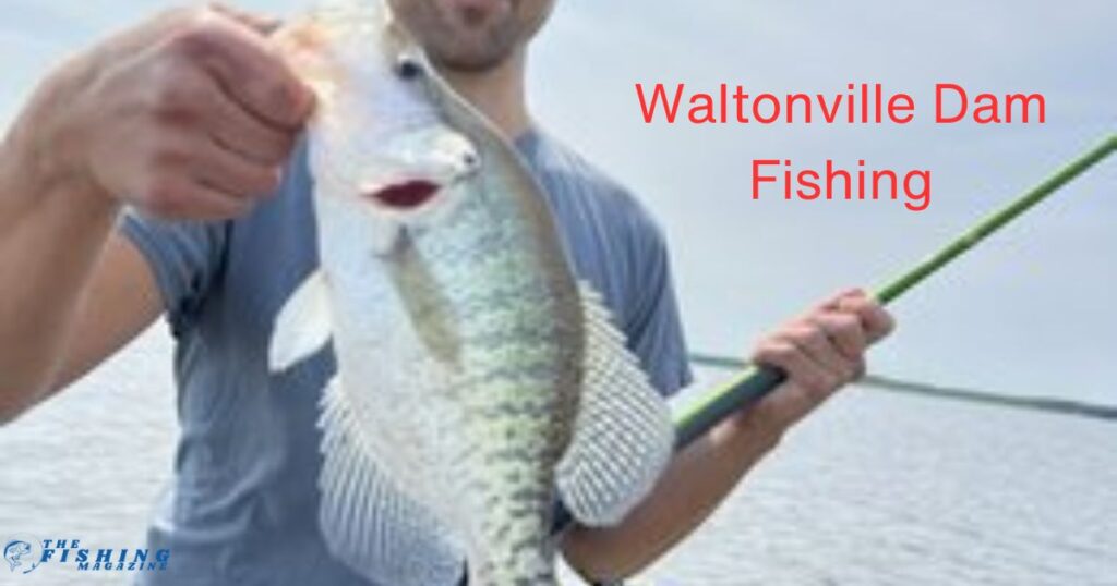 Waltonville Dam Fishing