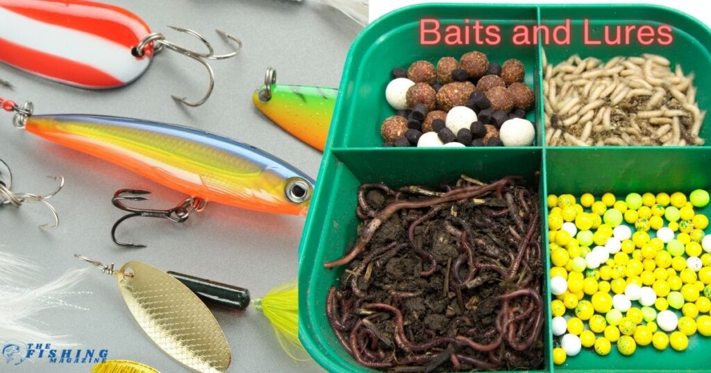 bait and lures