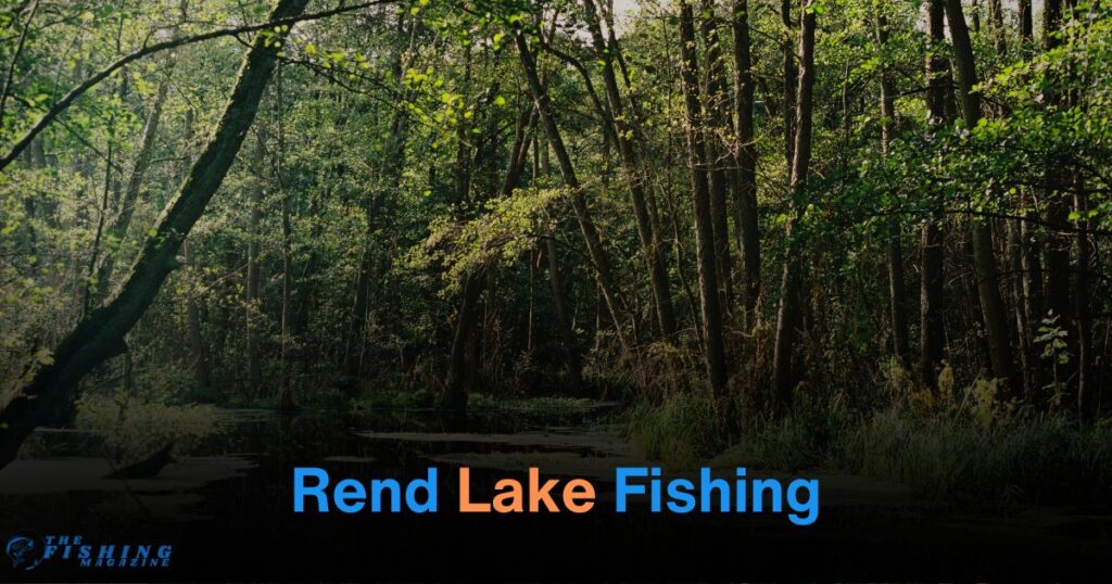 rend lake fishing