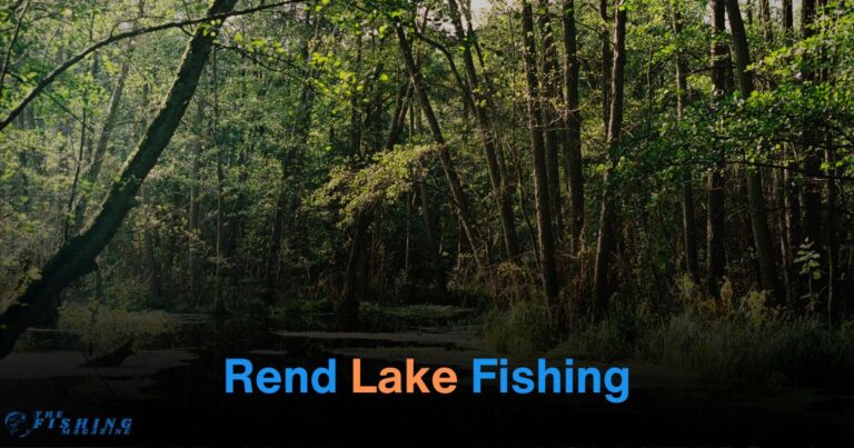 rend lake fishing