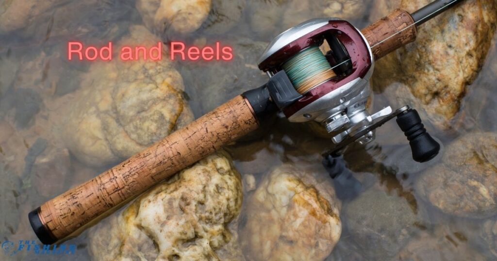 Rod and reels