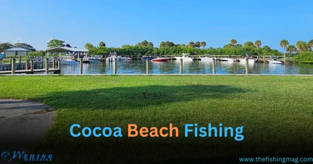 Cocoa Beach fishing