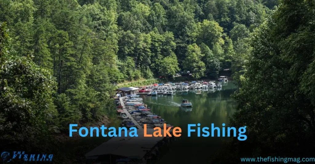 Fontana Lake Fishing