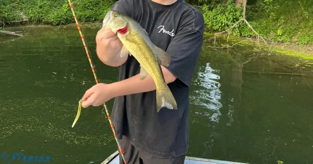 Indian Creek fishing technique