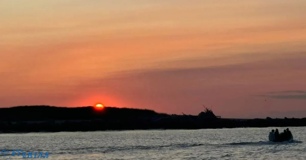 Mackerel Fishing season