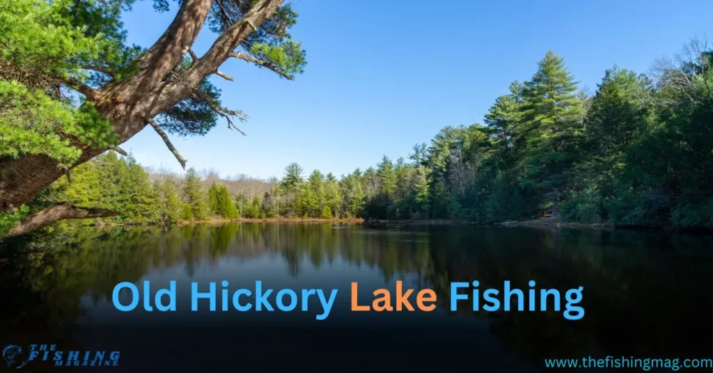 Old Hickory Lake Fishing