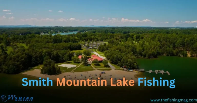 Smith Mountain Lake Fishing