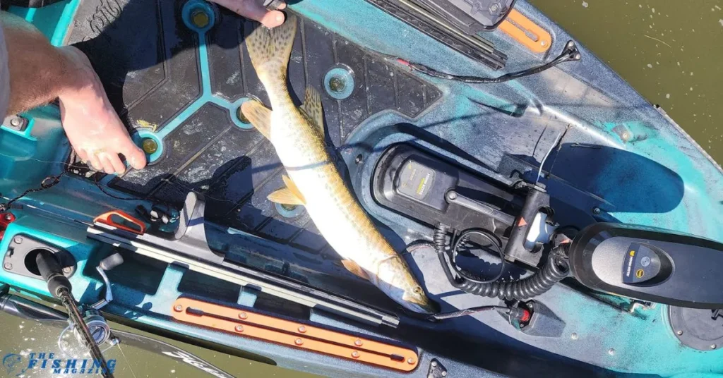 Lake Nantahala boat Fishing