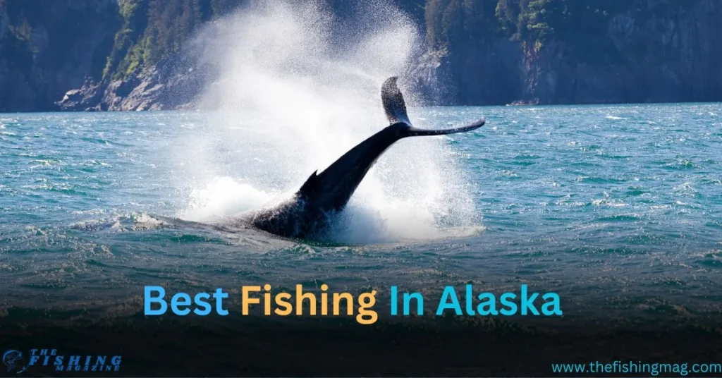 fishing in alaska