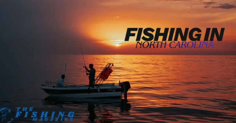 Tuckasegee River Fishing Guide: Best Spots, Tips & Techniques in North Carolina